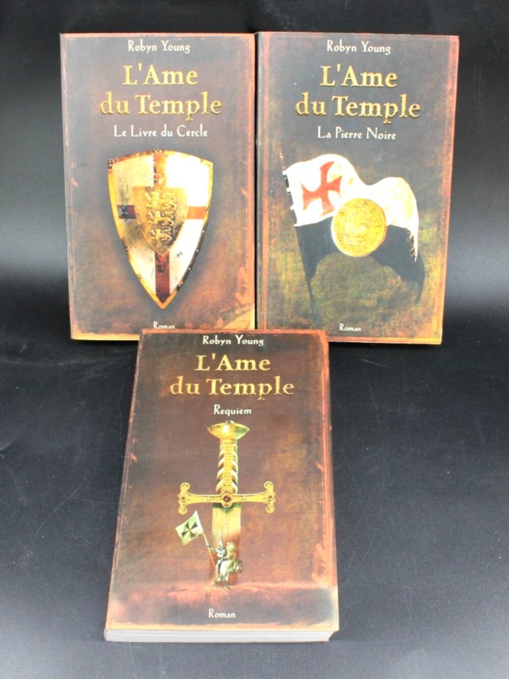 Lot 3 Livres Robyn Young - L'ame Du Temple Tome 1-3 French